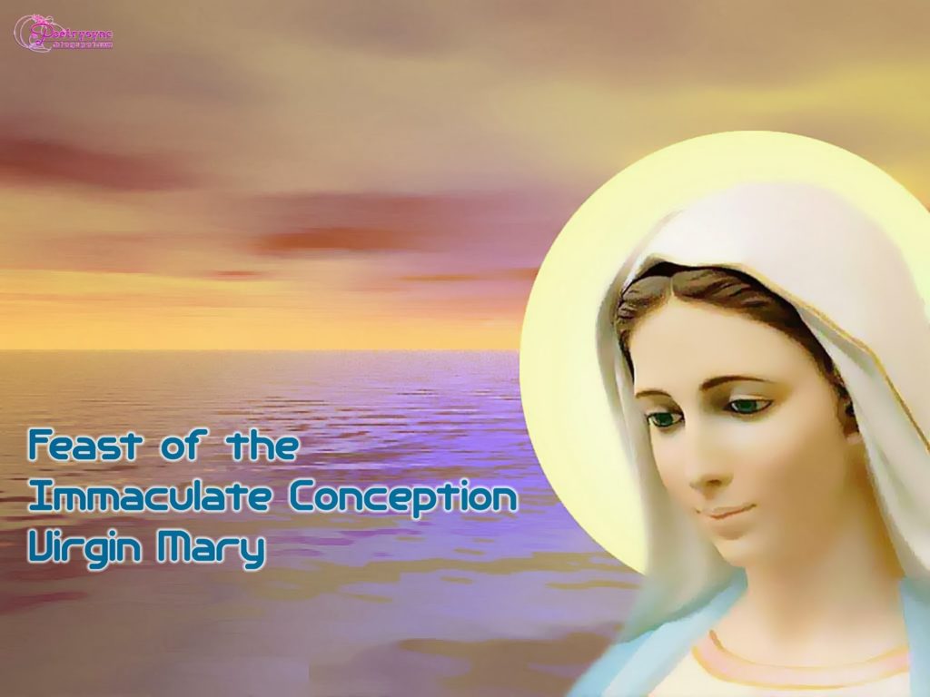 Virgin Mary Pictures And Wallpaper Feast Of The Immaculate