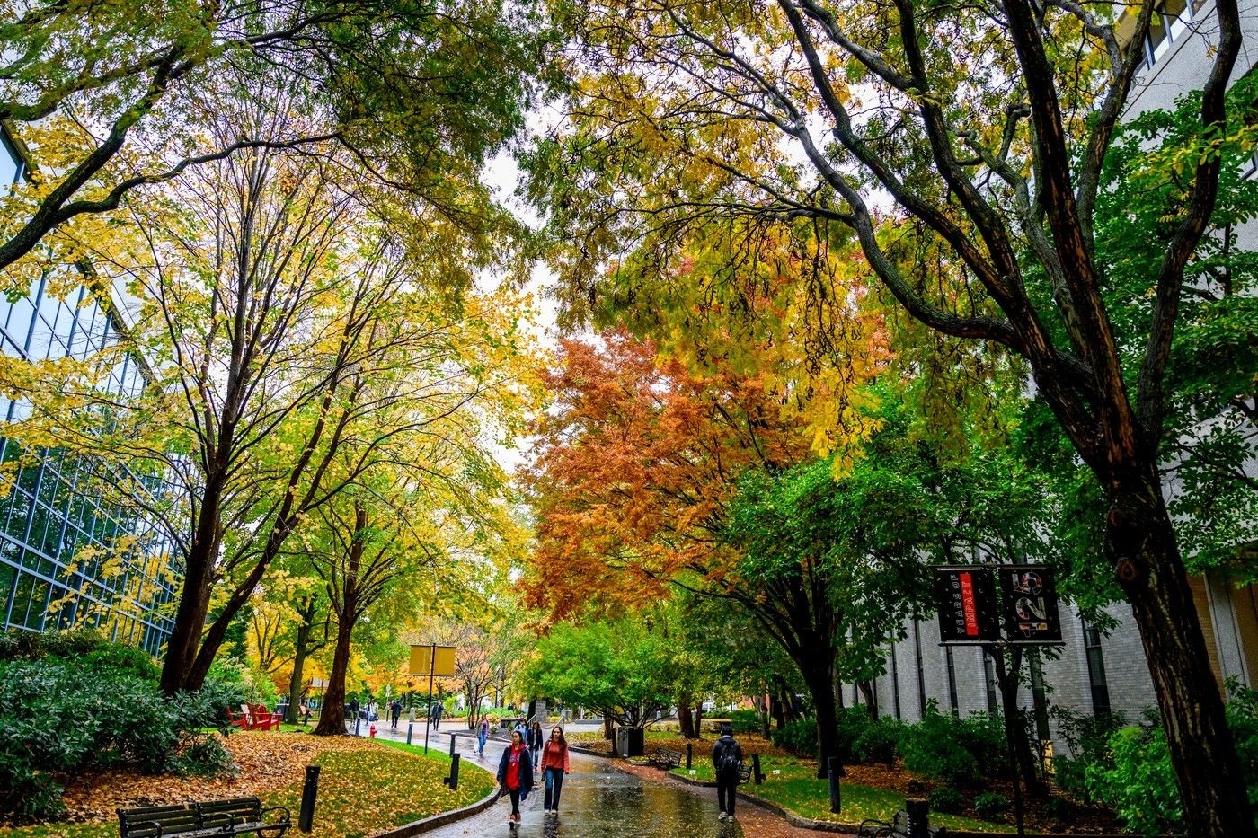 Northeastern University Campus Green Wallpaper