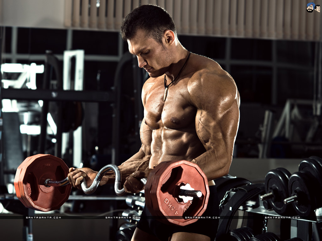 Bodybuilders HD Wallpaper