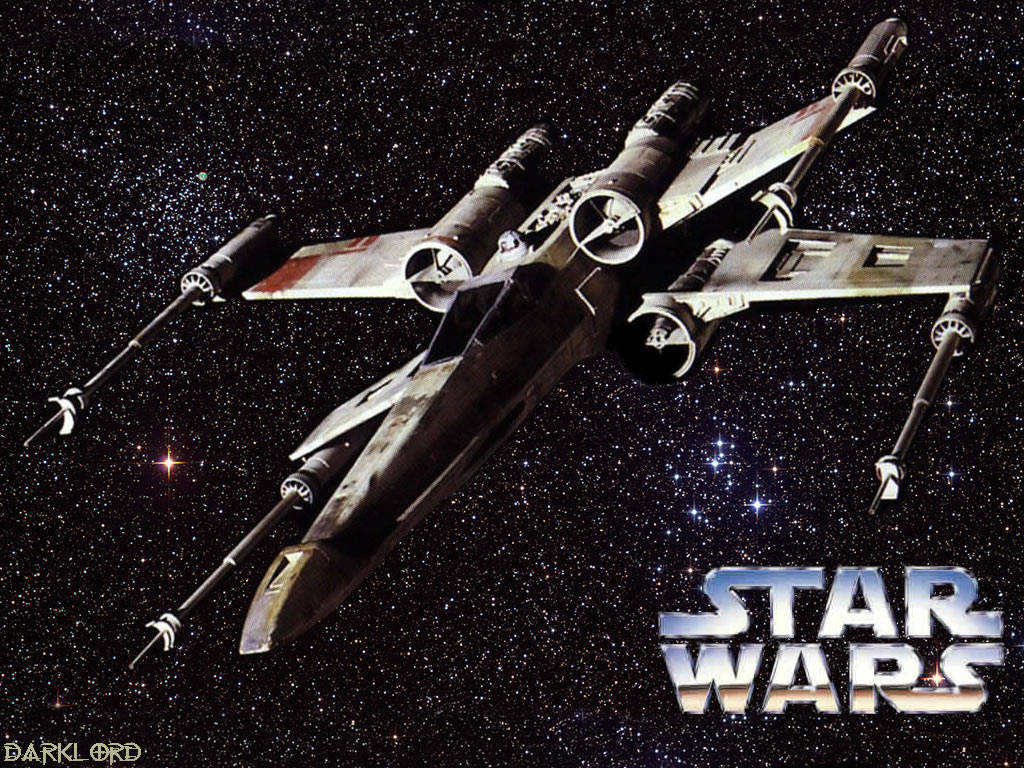 Insect Wallpaper Xwing HD Walls Find