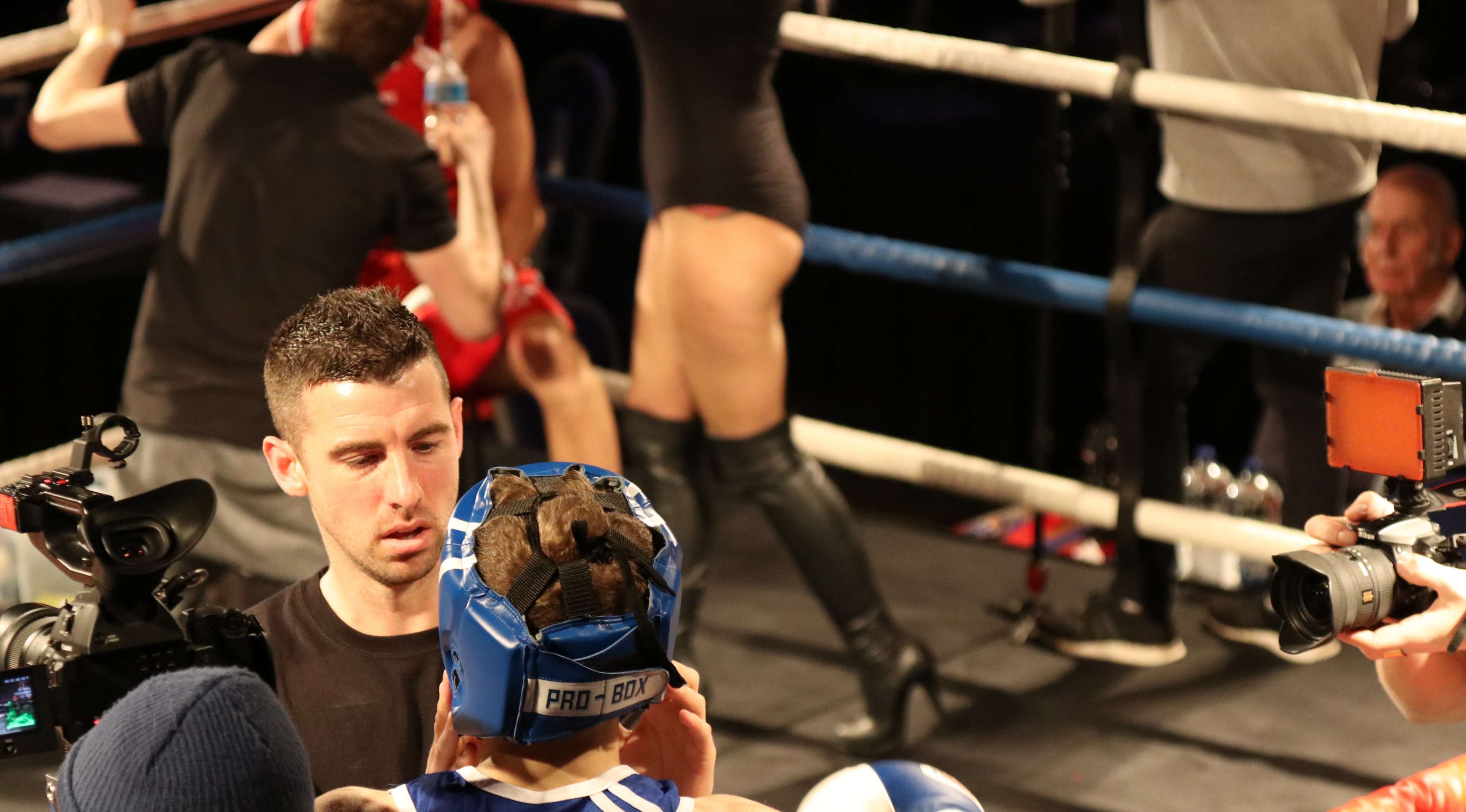 Boxing HD Wallpaper