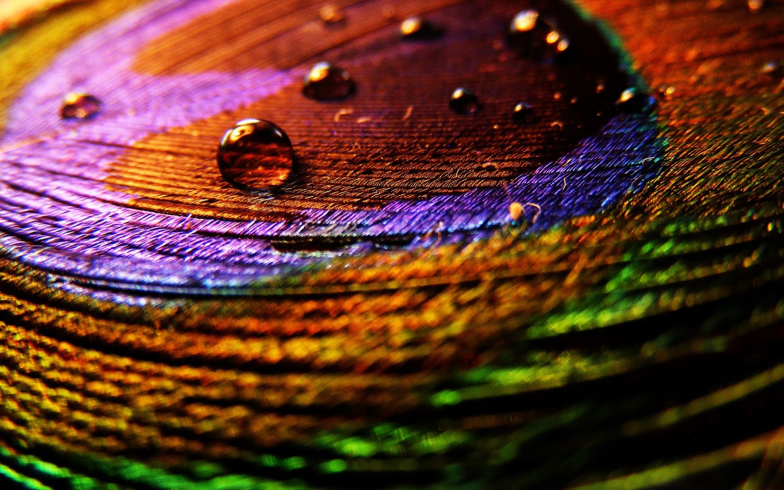 Creative Wallpaper