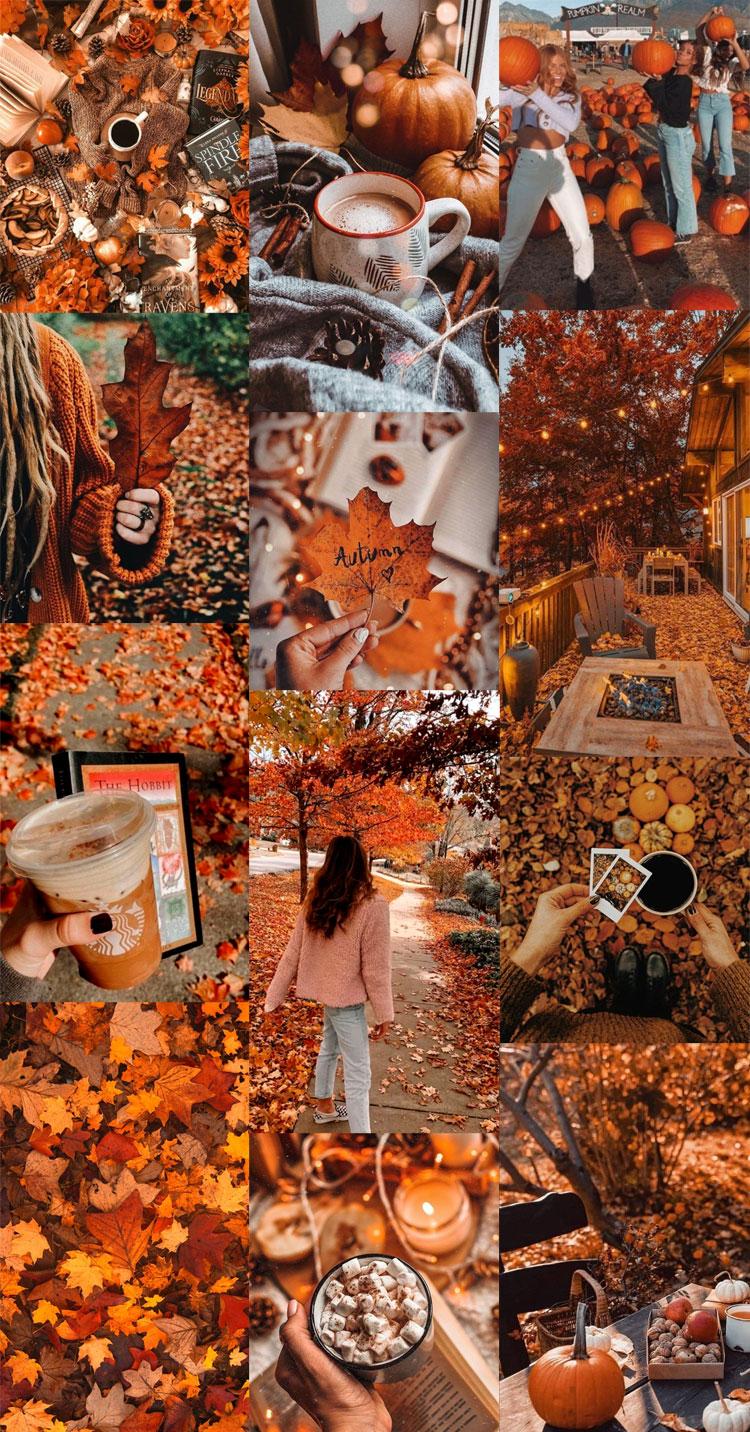 Autumn Collage Wallpaper Cozy Pumpkin Fab Mood