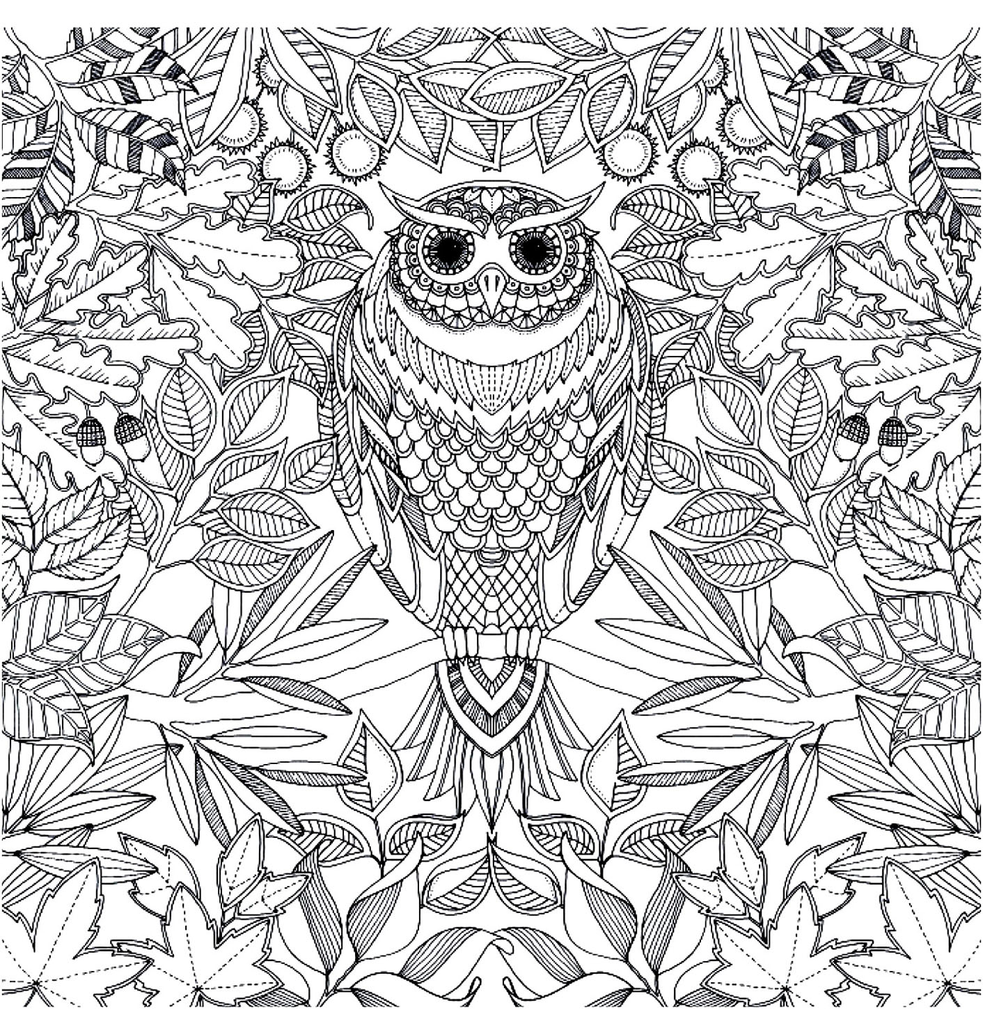 Coloring Adult Hibou Owl With Piercing Look To