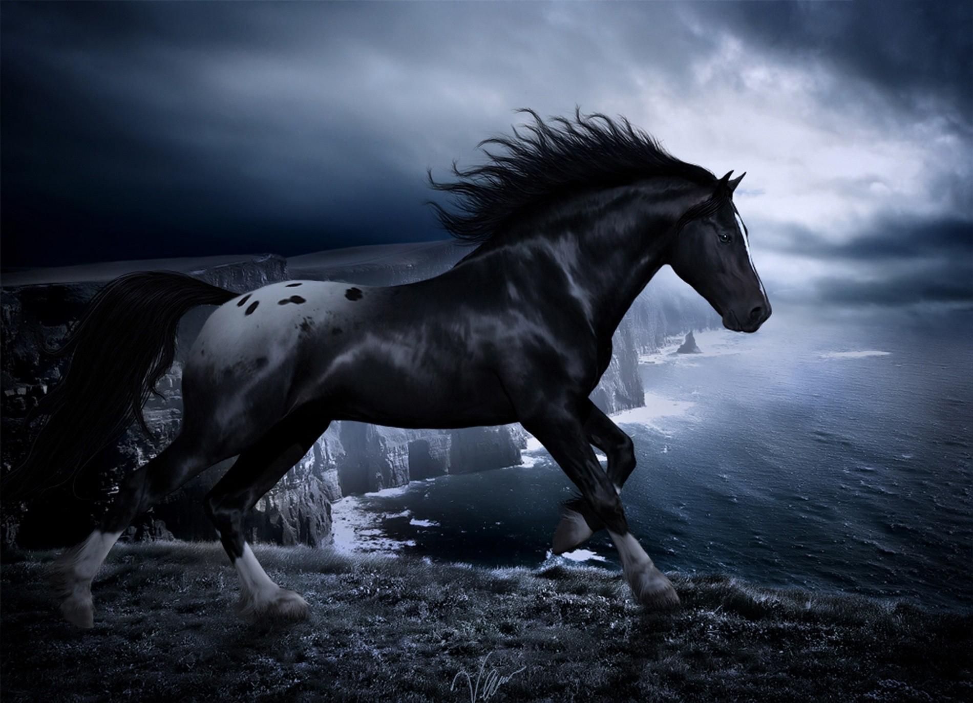 Dark Horse Live Wallpaper For Android Apk