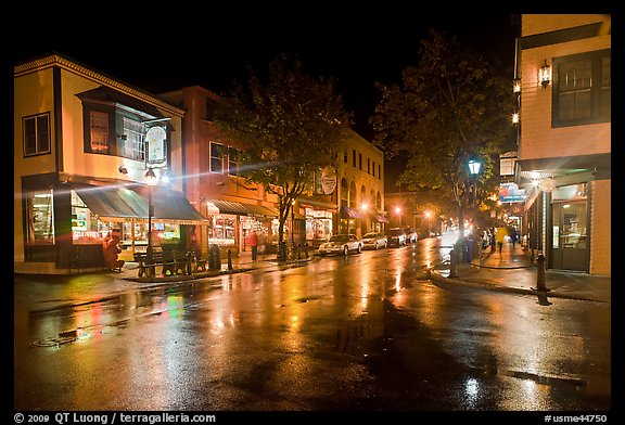 Picture Photo Street Corner On Rainy Night Bar Harbor Maine Usa