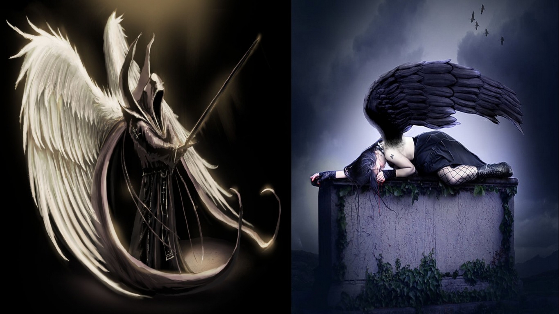 Free Download The Fallen Angel Wallpaper MixHD Wallpapers 1920x1080