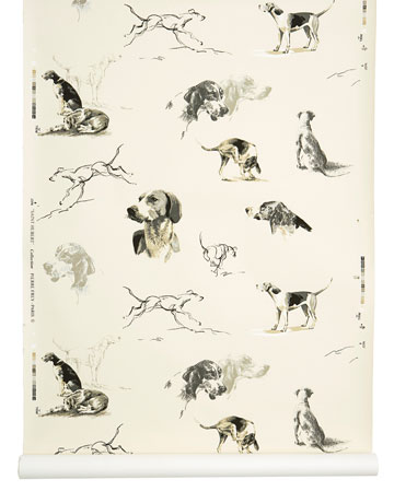 [89+] Dog And Man Wallpapers On Wallpapersafari