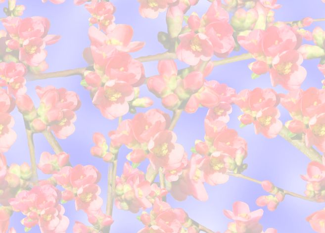 Spring Flowers Backgrounds Free Background Seamless Repeating Fill
