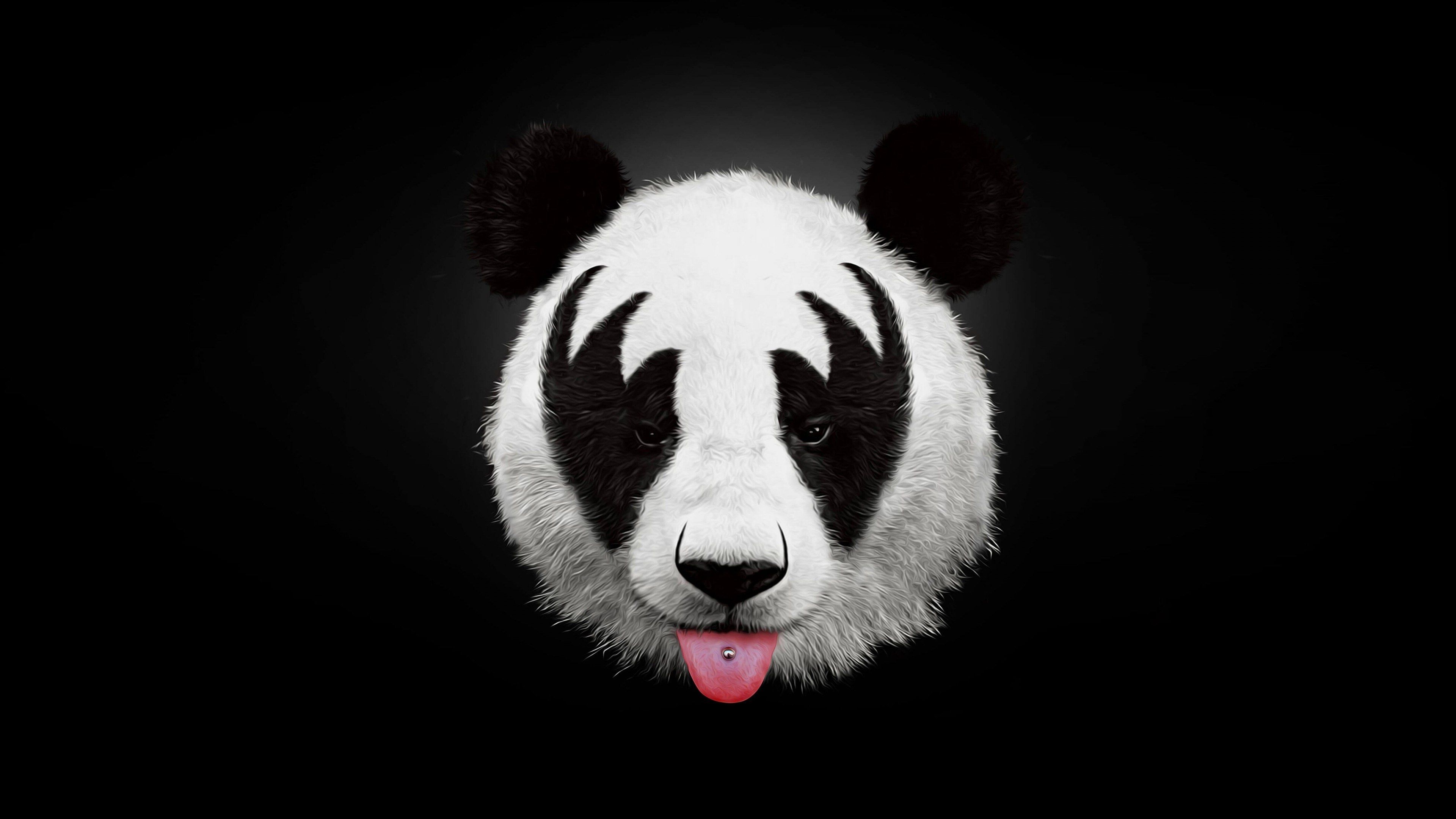 Panda 4k Desktop Background Wallpaper HD