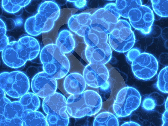 48+] Cell Biology Wallpaper - WallpaperSafari