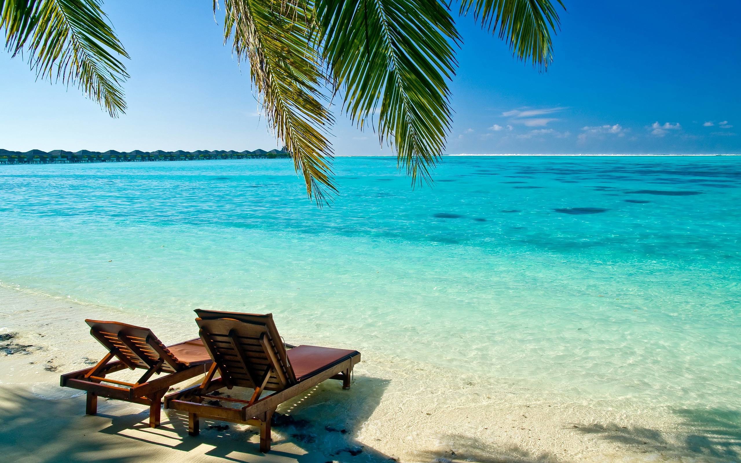 Tropical Wallpaper Desktop