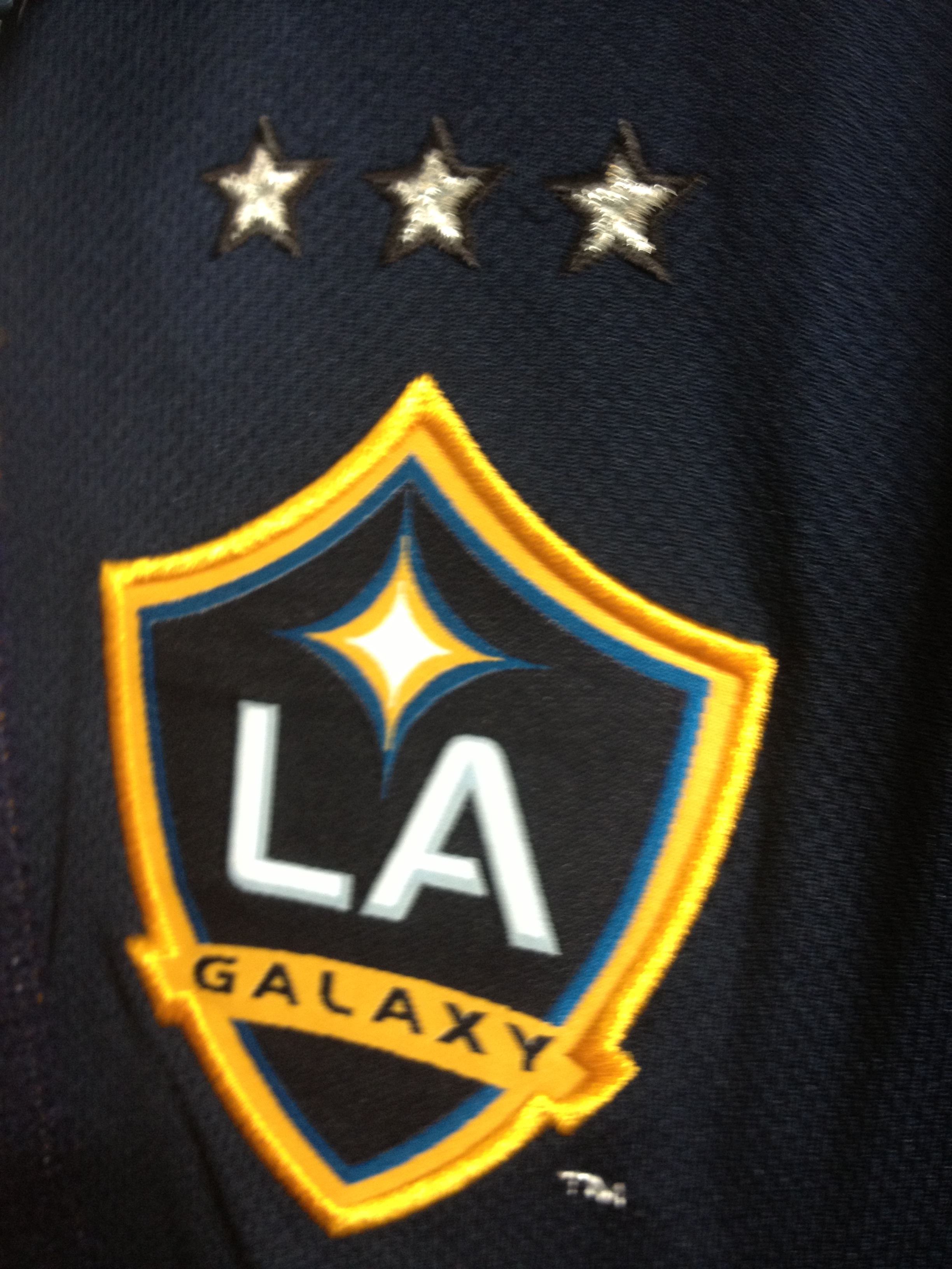 The LA Galaxys logo for 2013 pops up at The HDCs Team LA