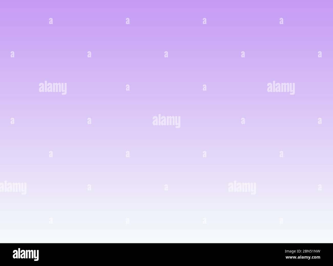 Lilac Color Wallpaper