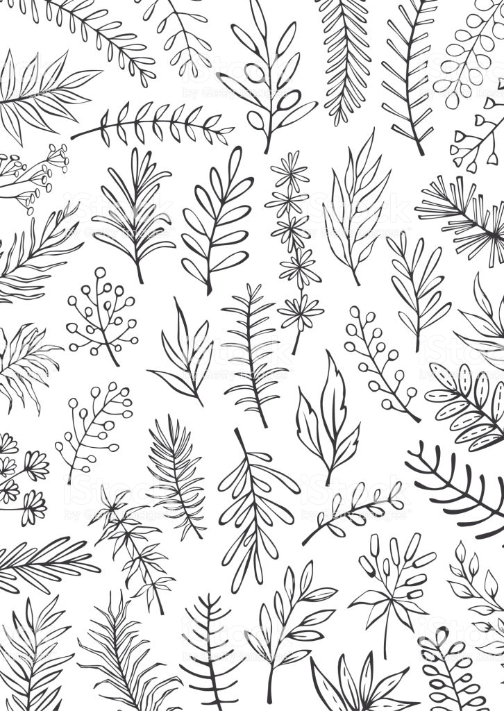 Black And White Floral Hand Drawn Farmhouse Style Outlined Twigs
