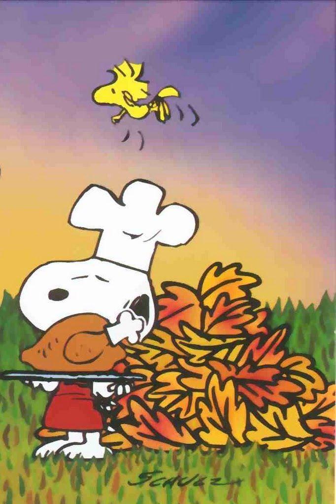 Snoopy Woodstock Peanuts Thanksgiving Cartoon Art