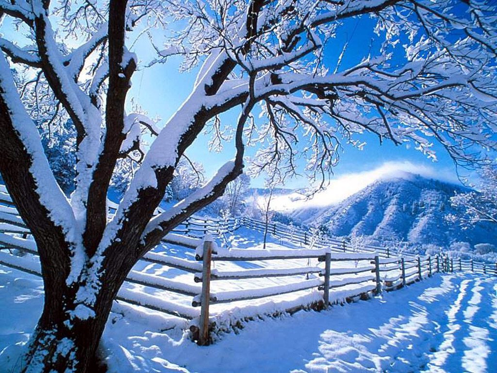 Winter Scene Wallpaper Which Is Under The