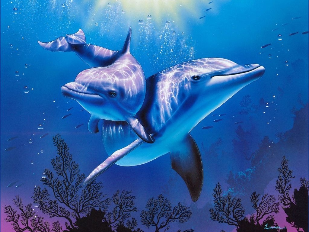 [46+] Free Animated Dolphin Wallpaper Desktop on WallpaperSafari