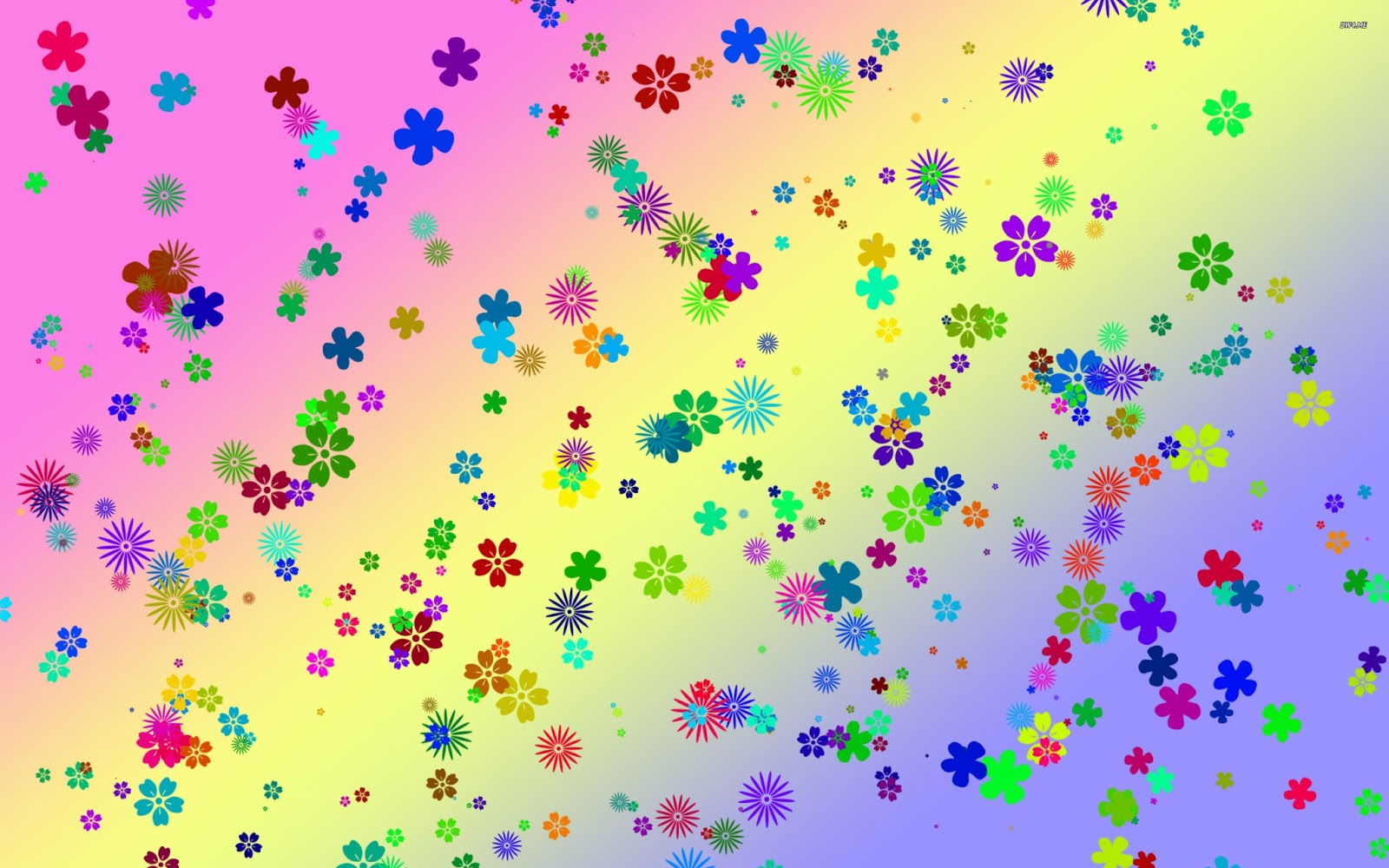 Colorful Flowers Desktop