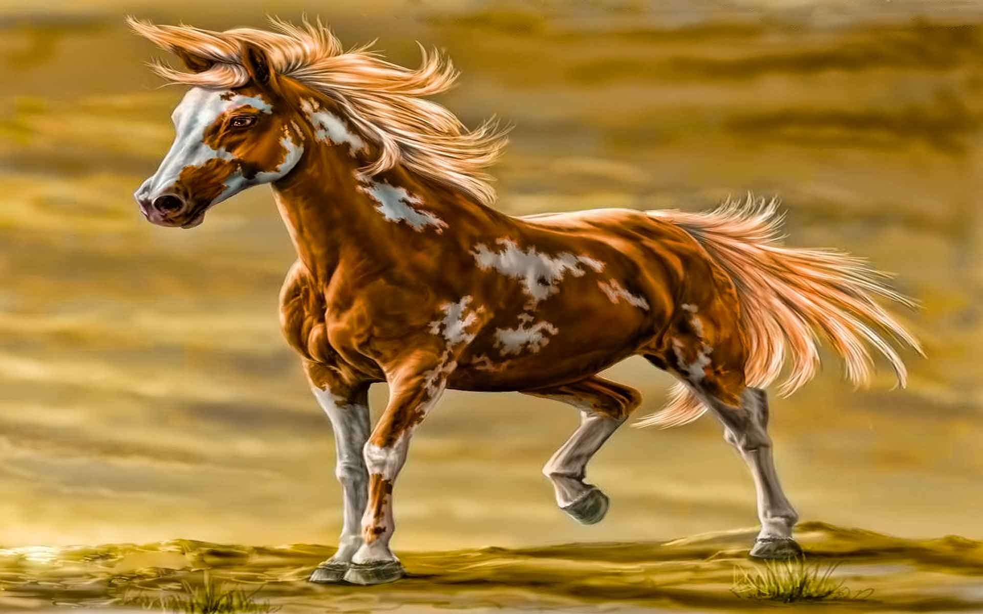 A majestic paint horse with a flowing mane and tail gallops across a golden landscape