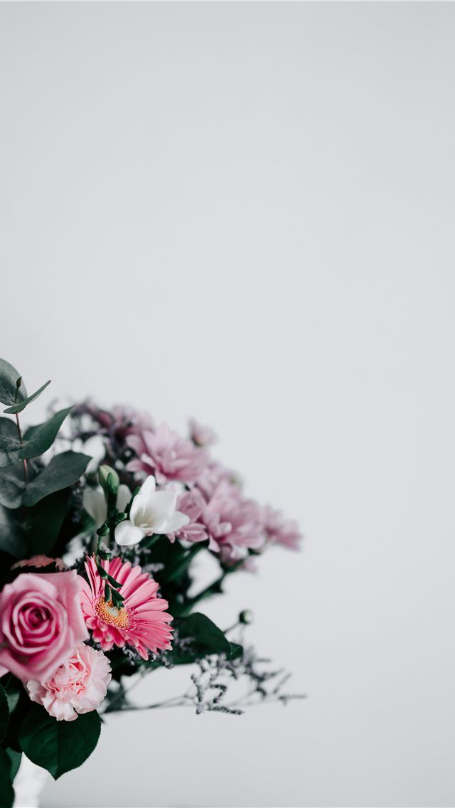 Flowers With Blank Space iPhone Wallpaper Pro