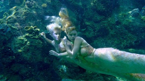 Mako Mermaids Image Hiding Wallpaper And
