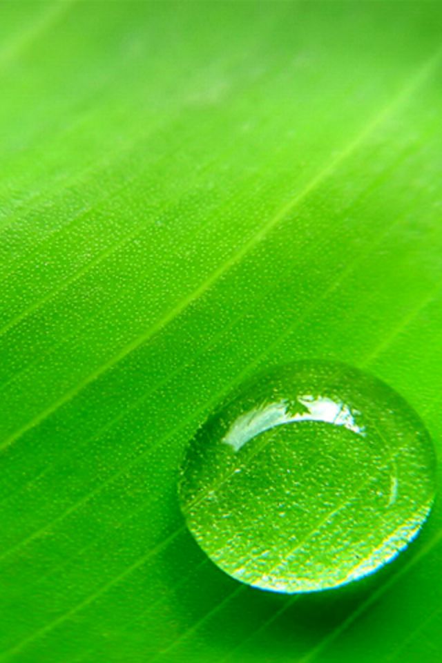 Water Drop iPhone Wallpaper HD