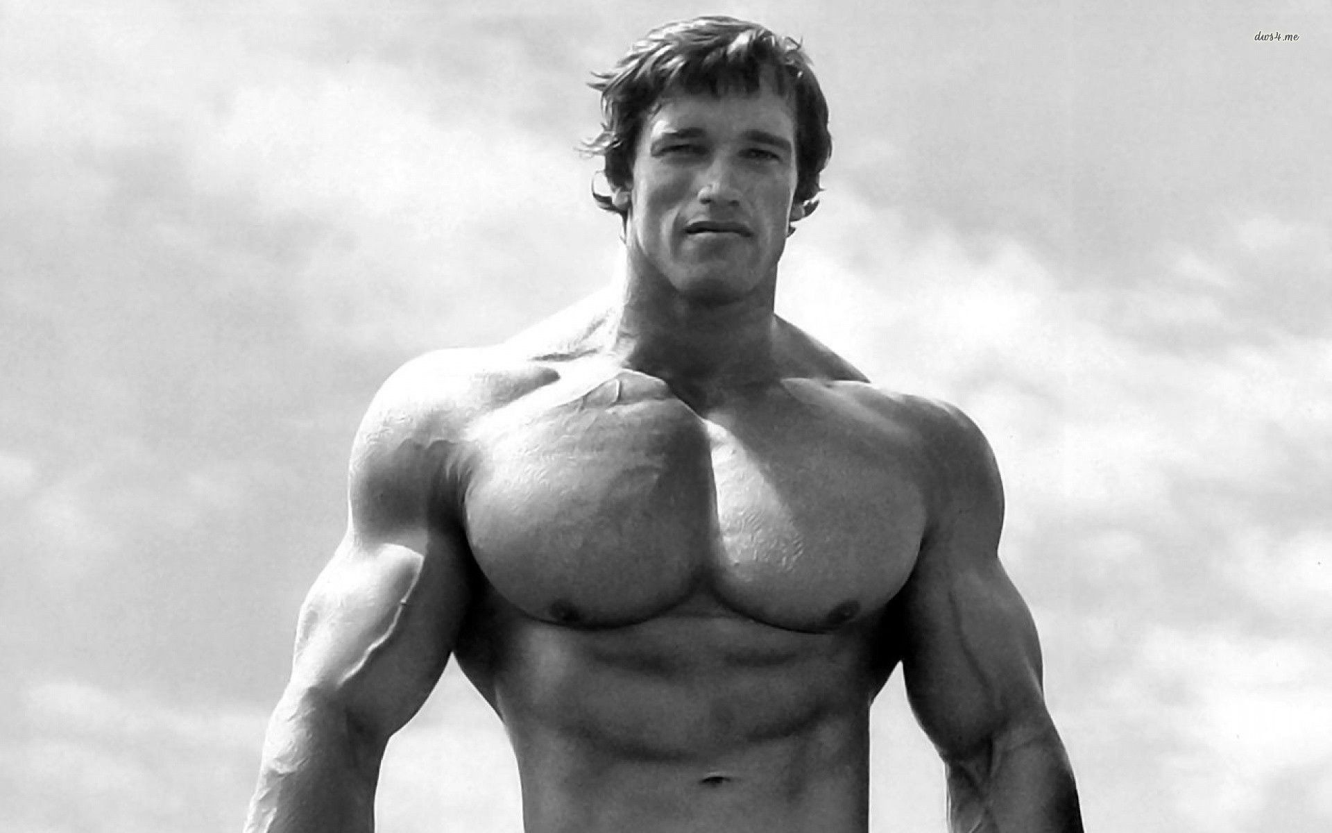 Arnold Wallpaper Image