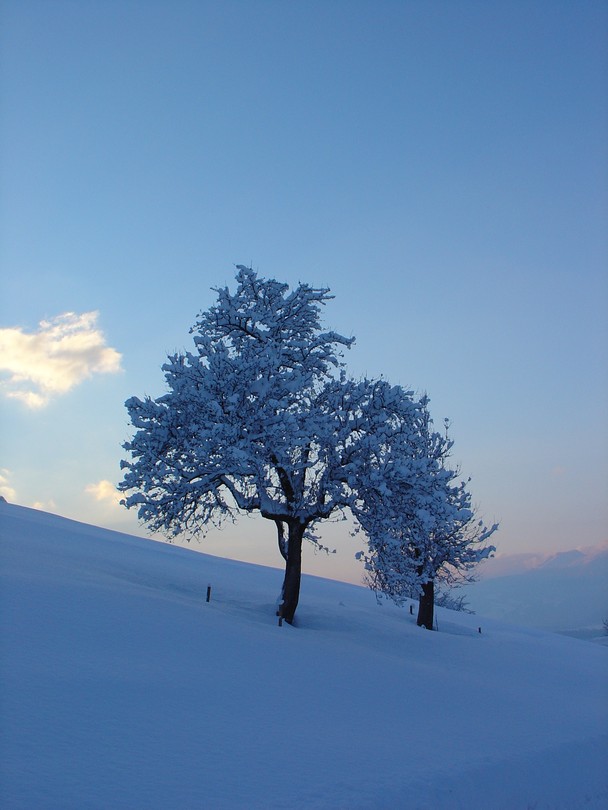Calm Winter Traveler Photo Contest National Geographic