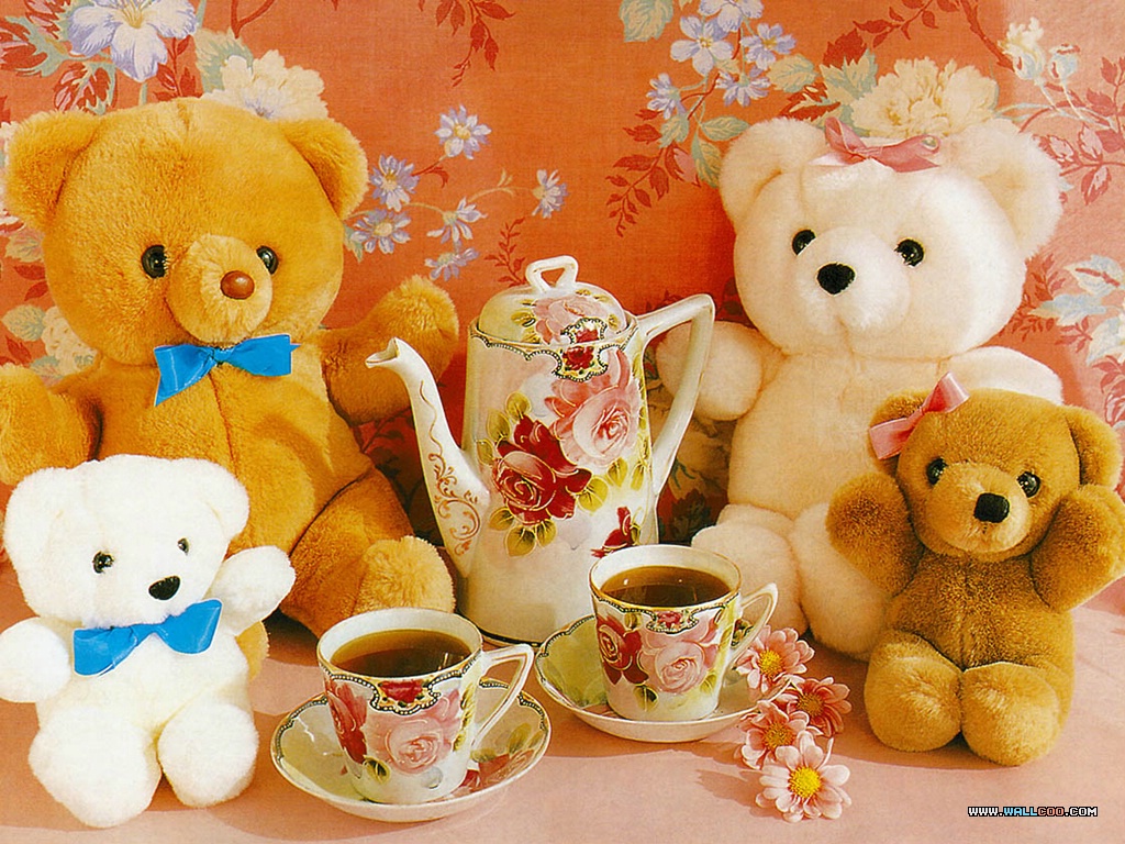 Teddy Beer Beers Cute Bears Wallpaper White