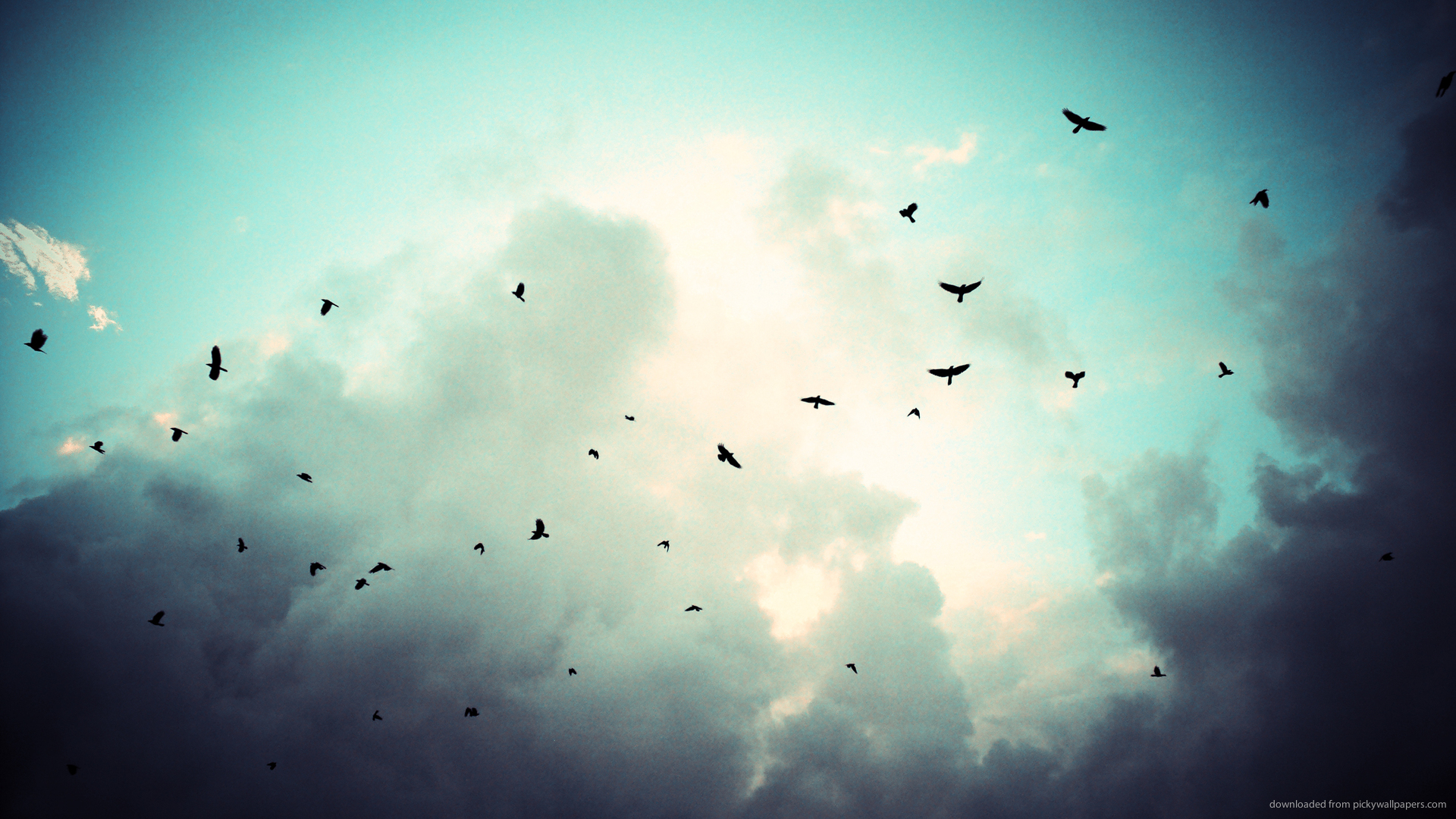 Download 1920x1080 Birds Silhouettes On A Cyan Sky Wallpaper