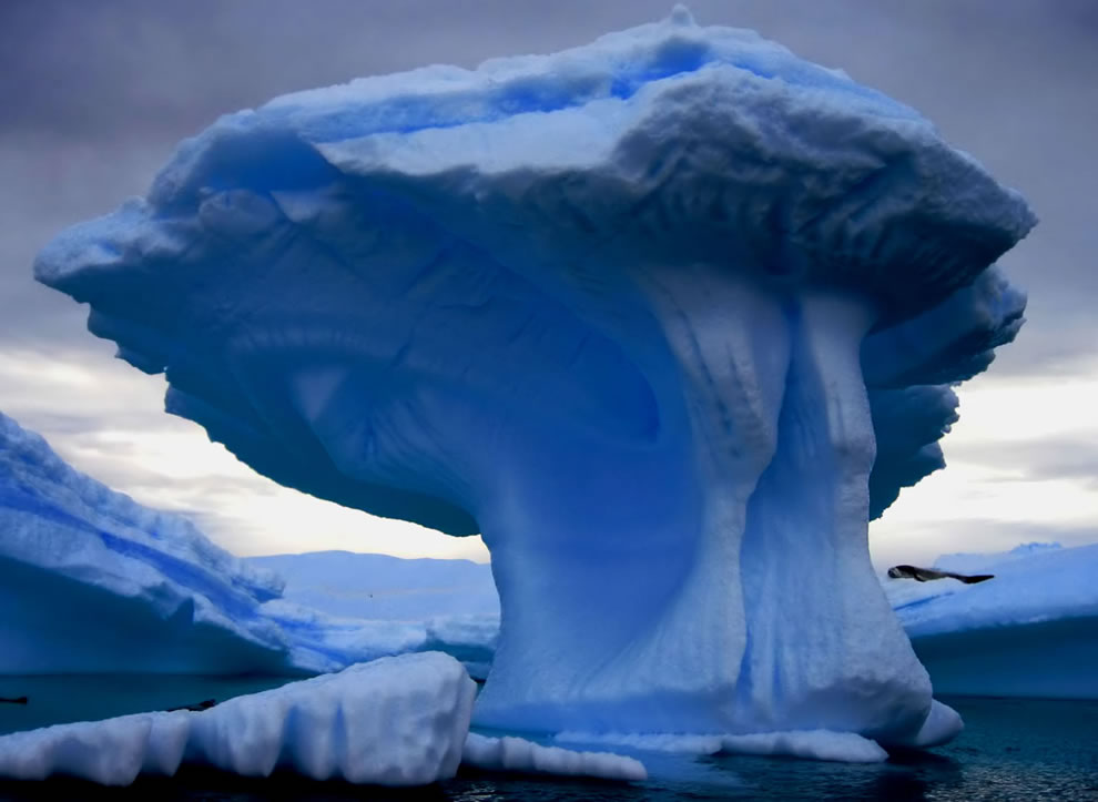 Extraordinary Icebergs Reasons Why Majestic Ice Mountains Are So