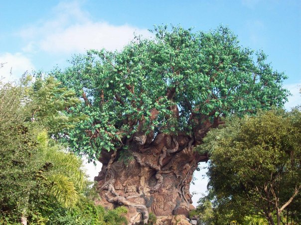 Disney S Animal Kingdom Tree Of Life Wallpaper