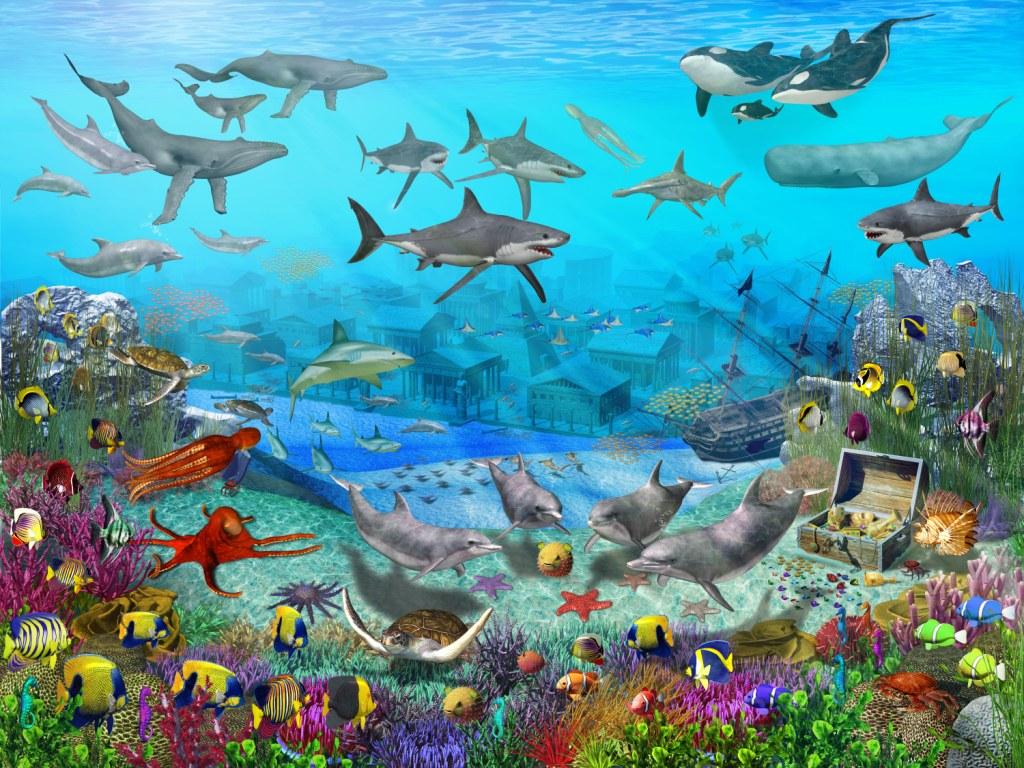 Free Wallpaper Murals Uk Walltastic Children S Free Wallpaper Murals Uk Walltastic Children S