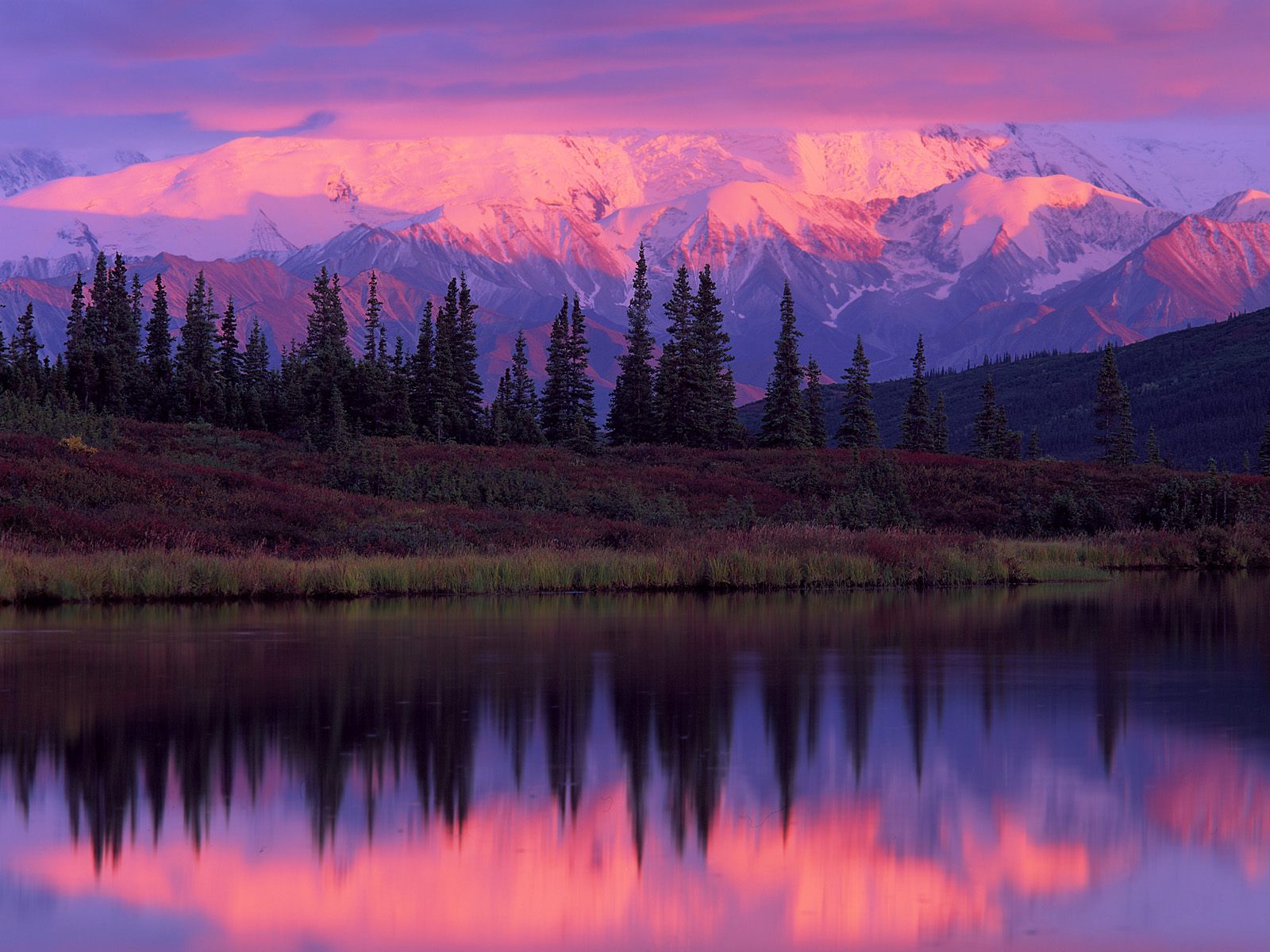 Lake And Alaska Range At Sunset Denali National Park Wallpaper