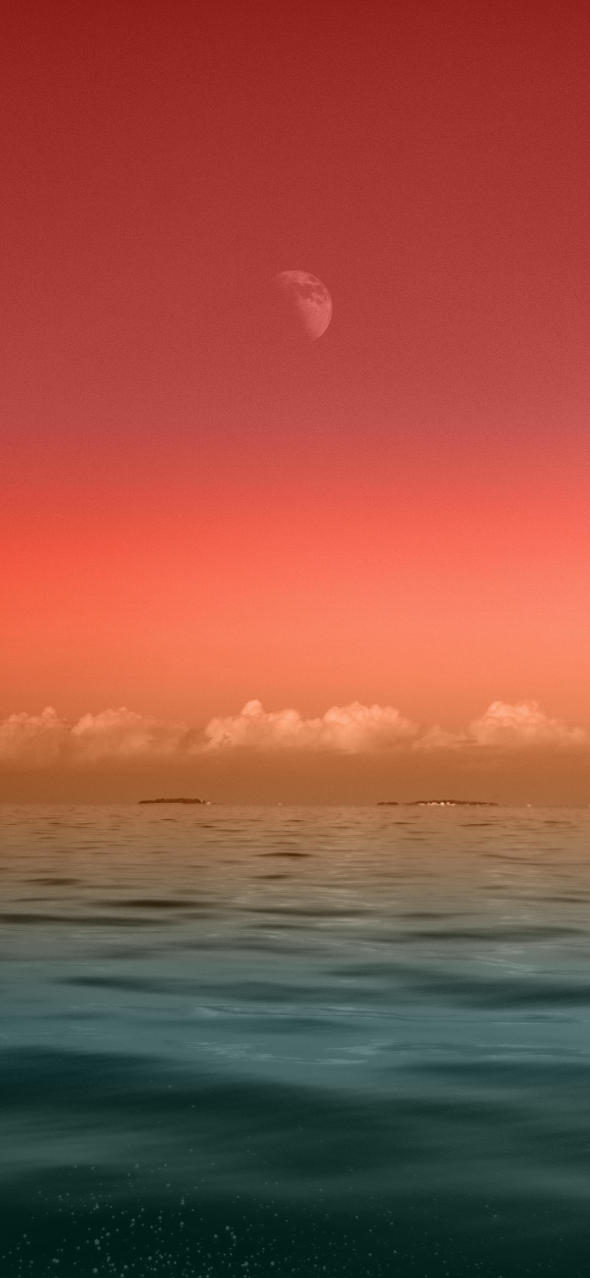 Wallpaper