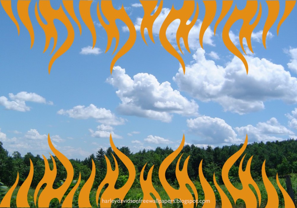 Desktop Wallpaper Harley Davidson Beautiful Flames Logo At Tropical