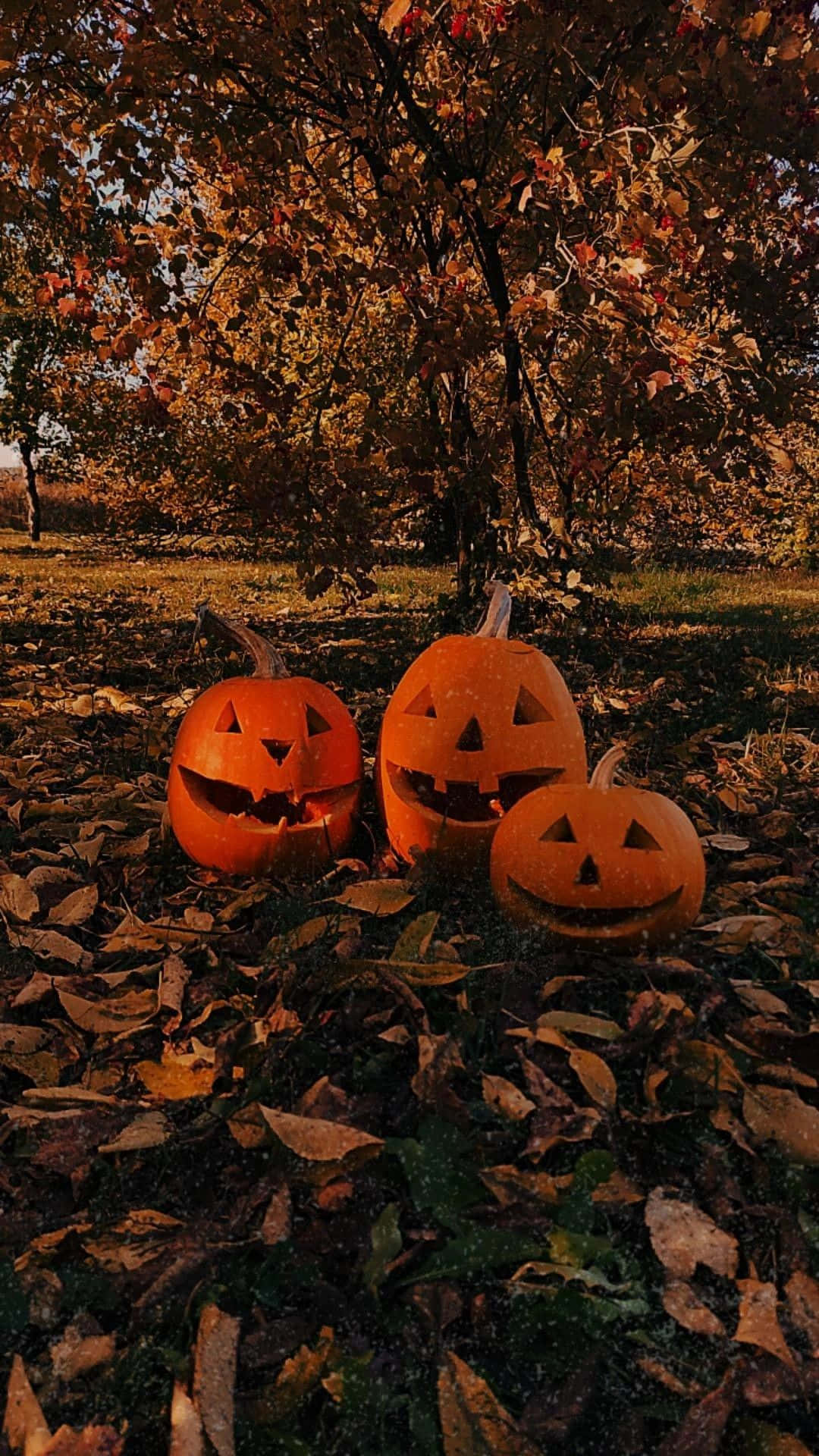 Aesthetic Autumn Halloween Wallpaper
