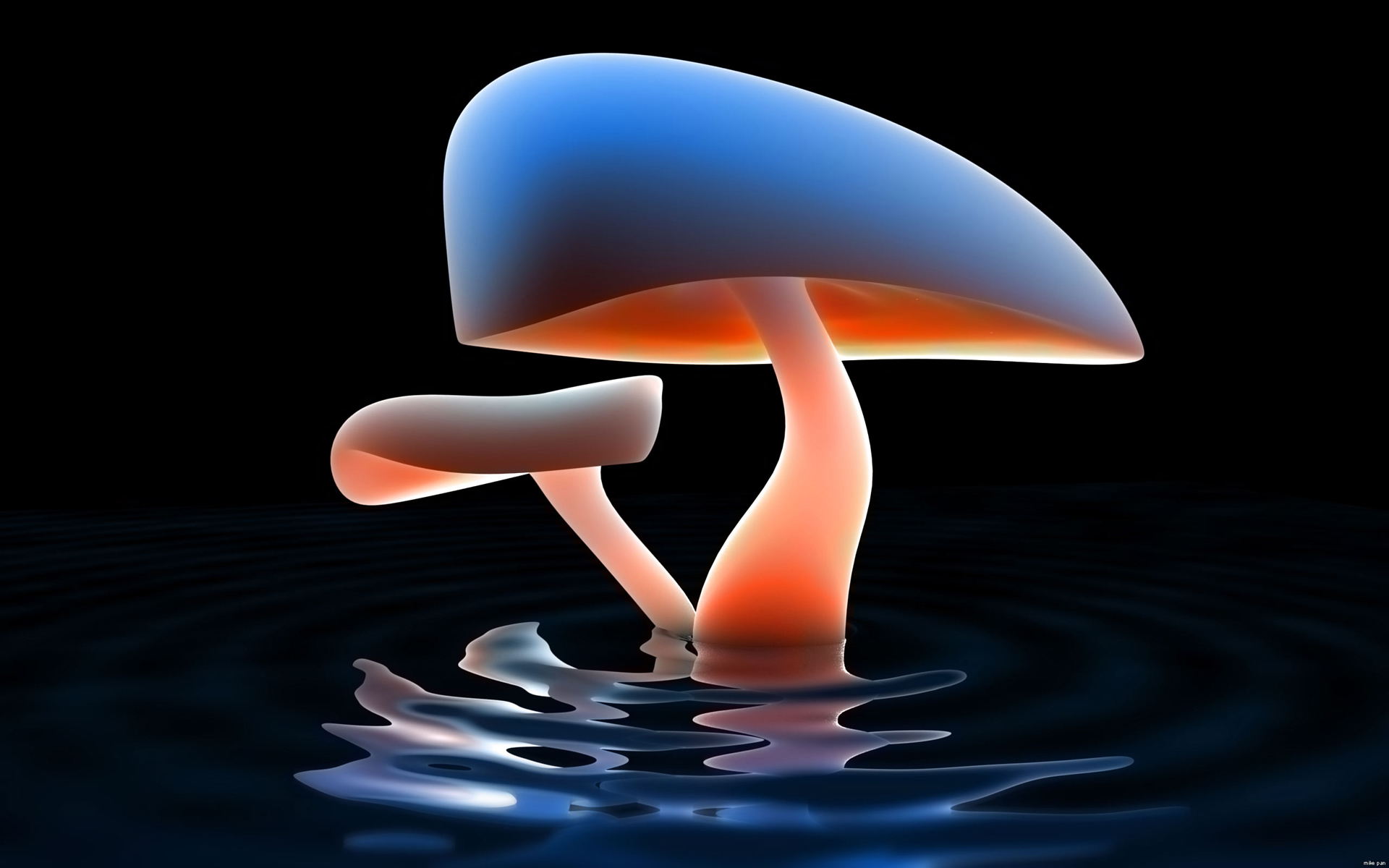 Full HD Wallpaper Abstract Nature Mushrooms Water