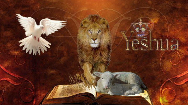 Yeshua Lamb Of God And The Roaring Lion Judah Direct Prophecy