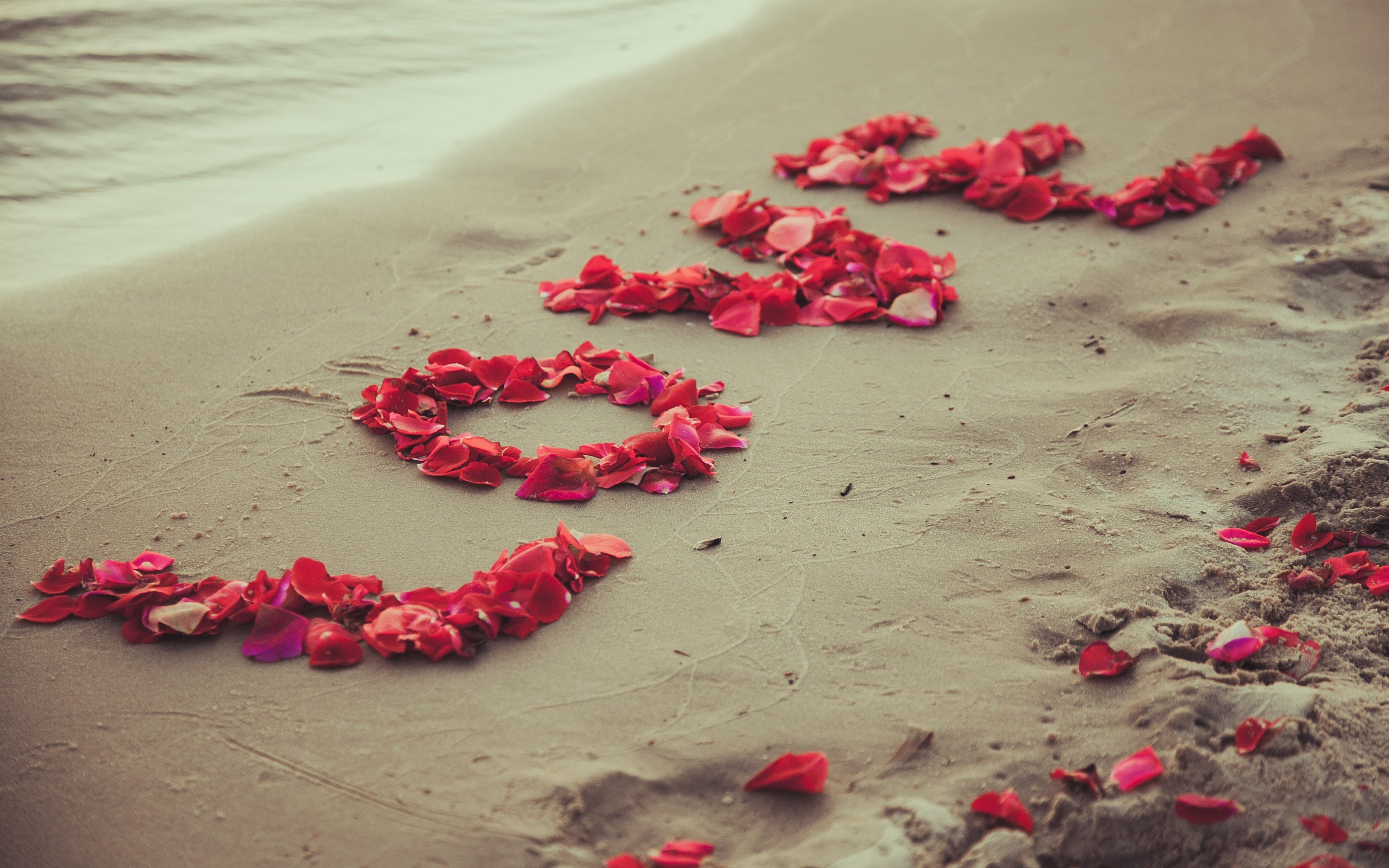 Sweet Romantic Petals Love Wallpaper