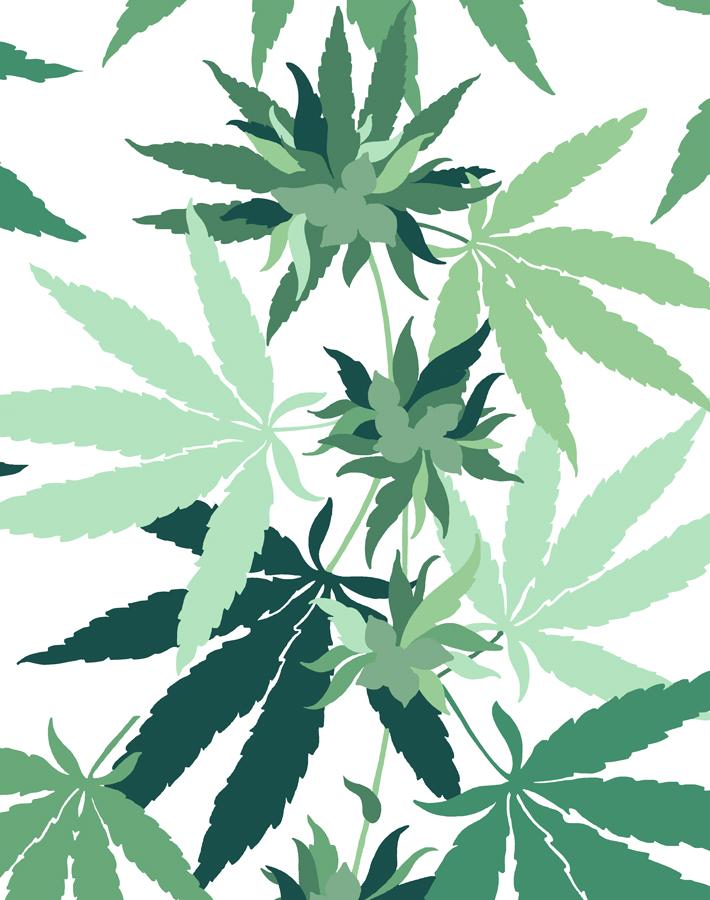 Cannabis Wallpaper White Wallshoppe