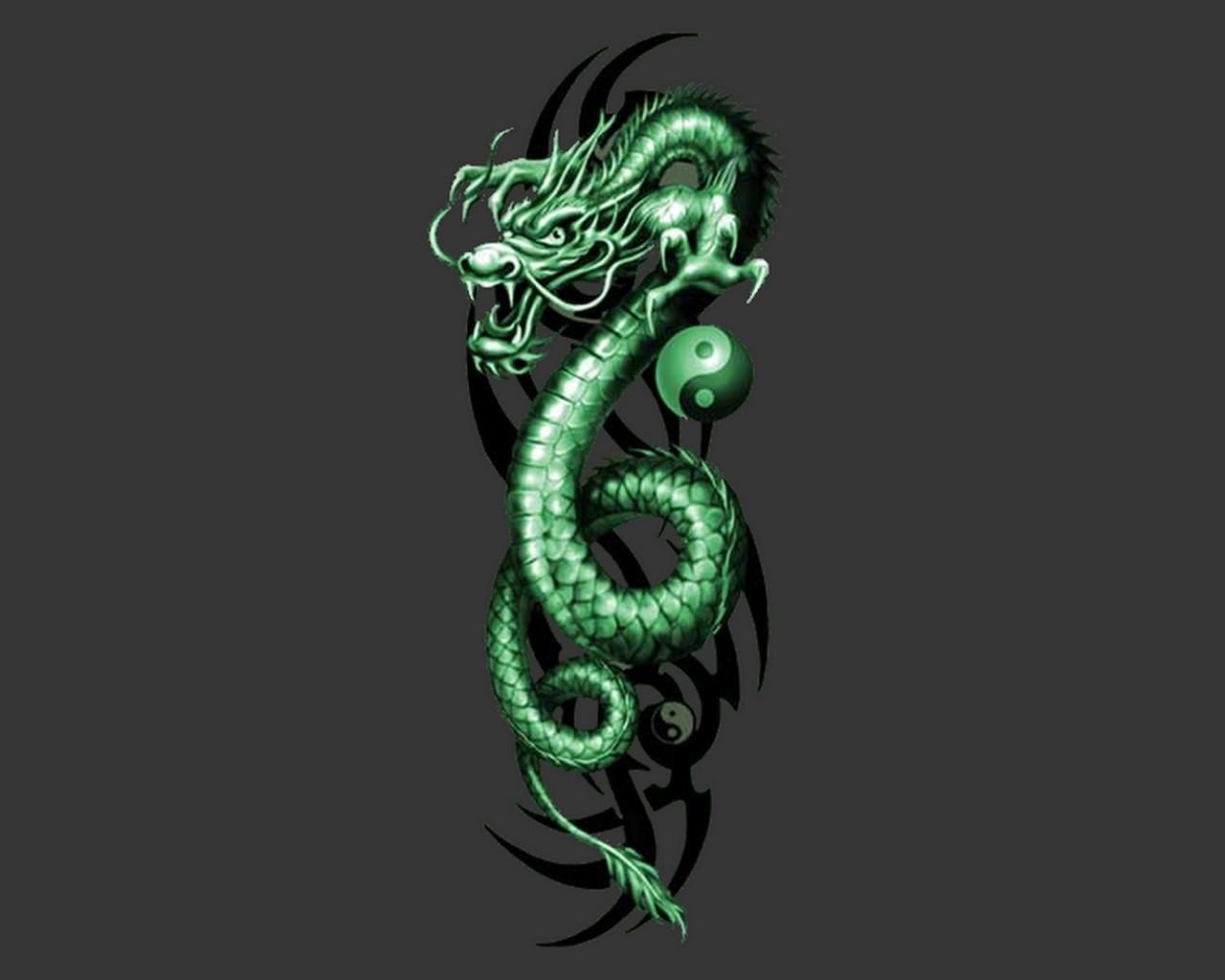 Green Dragon HD Wallpaper Hivewallpaper