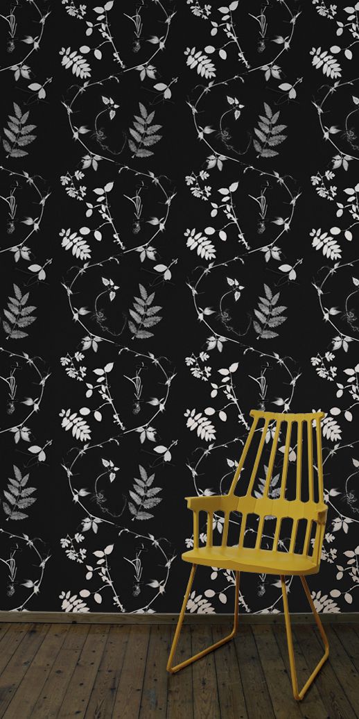 Dutch Garden In Black Little Owl Design Wallpaper