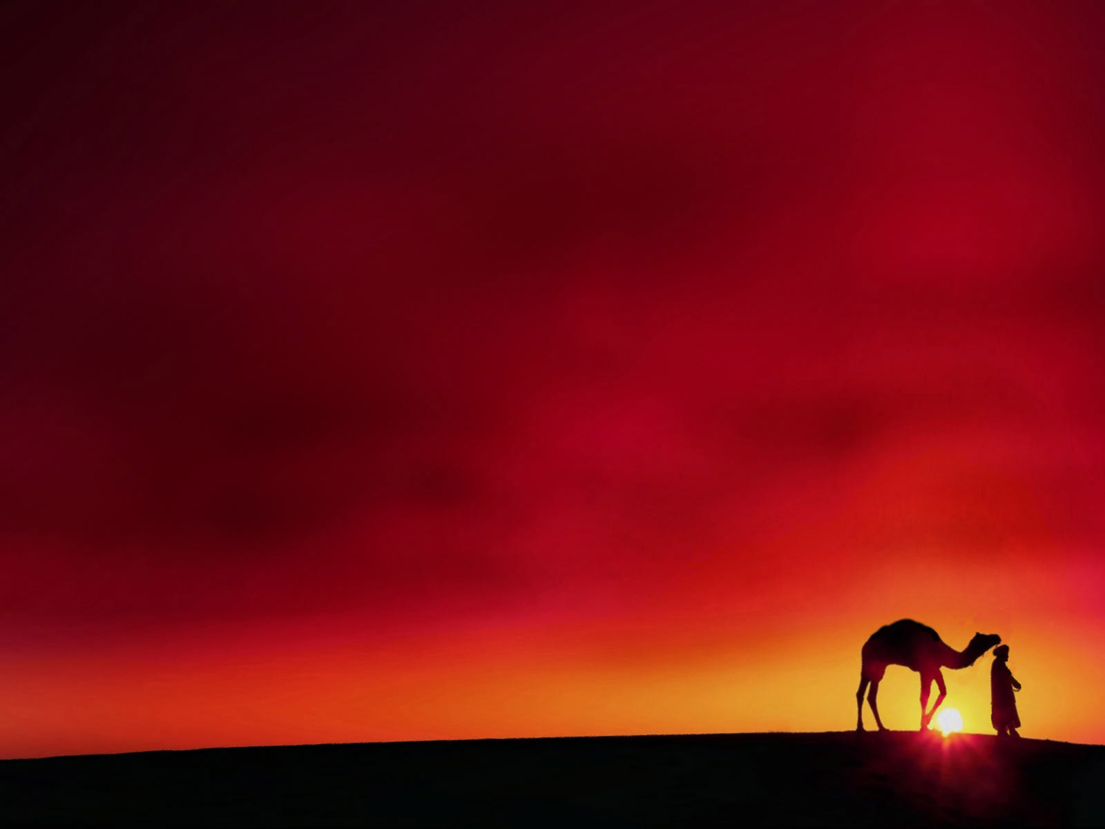Camel HD Wallpaper Of Rangilo Rajasthan Pics Image