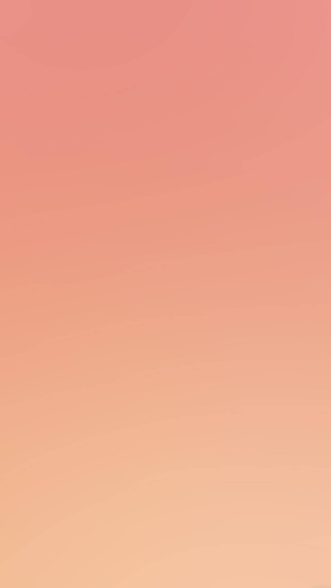 Soft Aesthetic Wallpaper