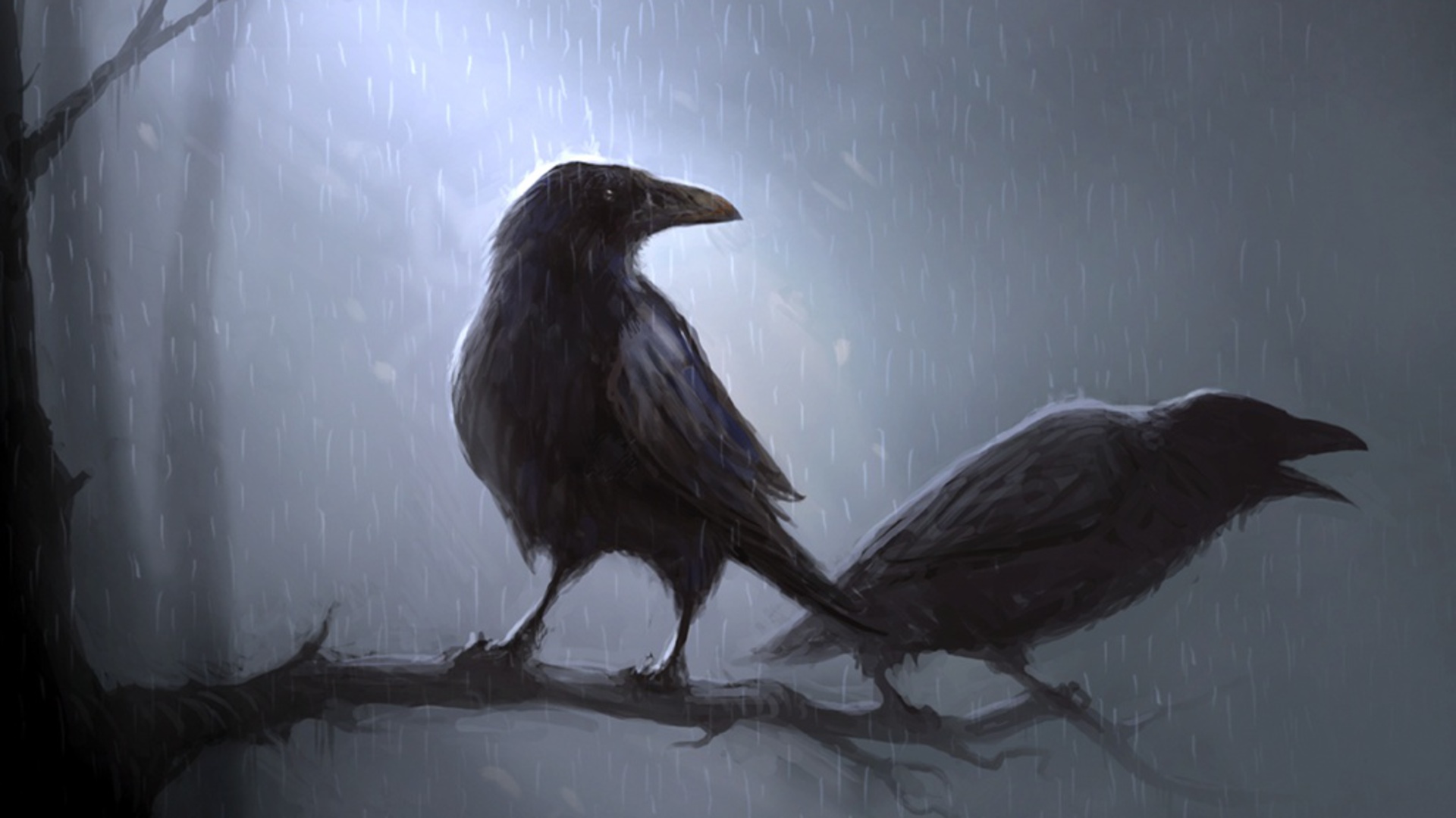 Crow Wallpaper Image Amp Pictures Becuo