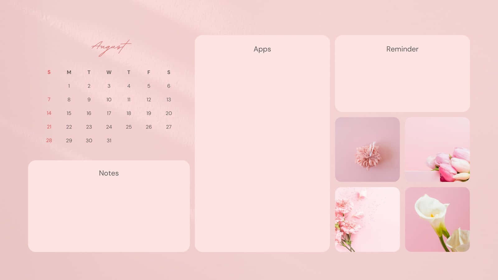 Cute Desktop Organizer Pink Lilac 6txn0lj4vgbyuwxf Wallpaper