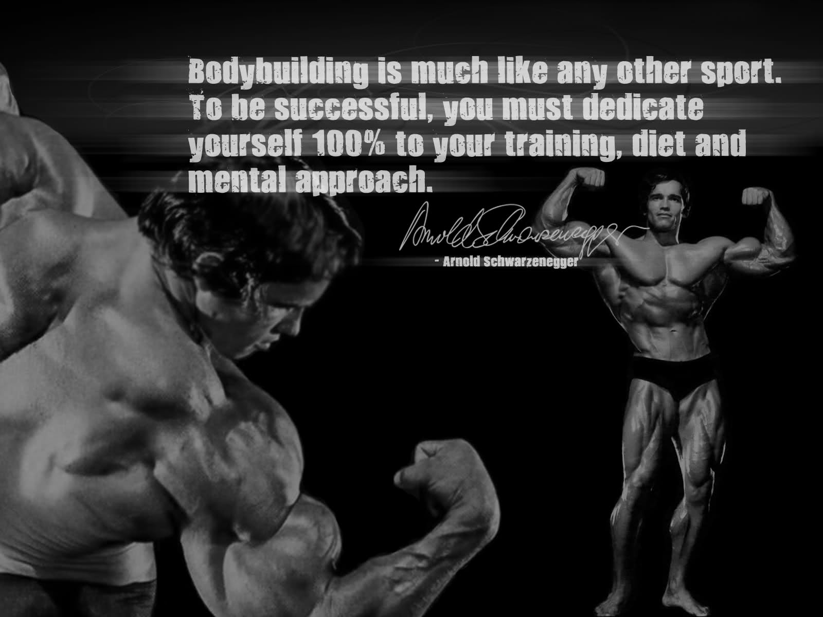 Motivational Fitness Quote From Arnold Schwarzenegger