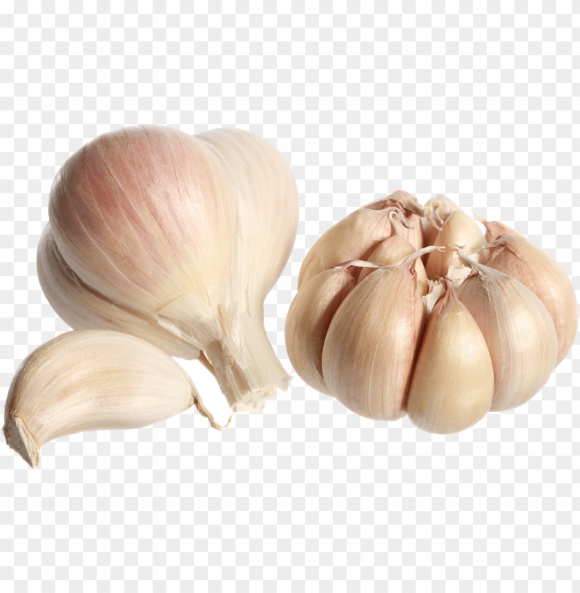 Garlic Png Image Background Toppng